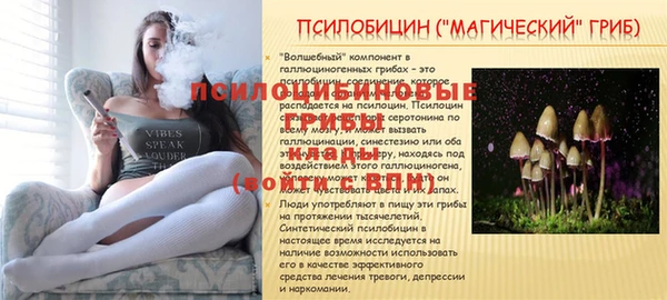 винт Вяземский