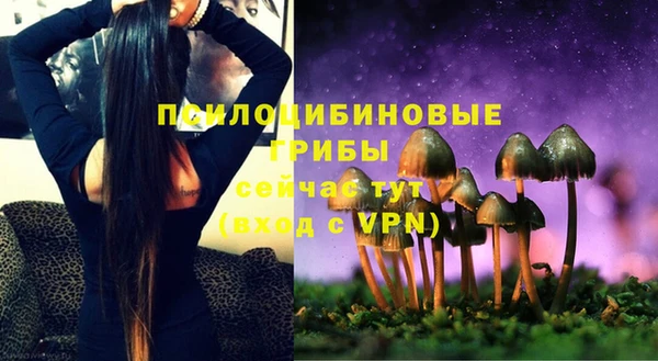 винт Вяземский